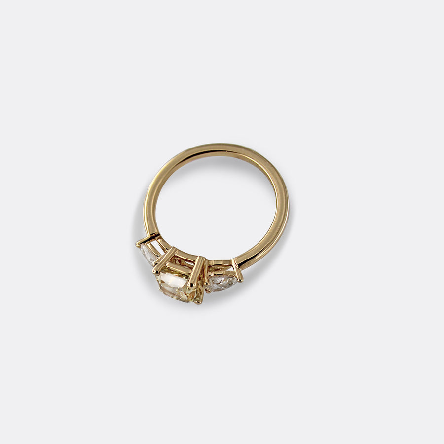 CLEO ring