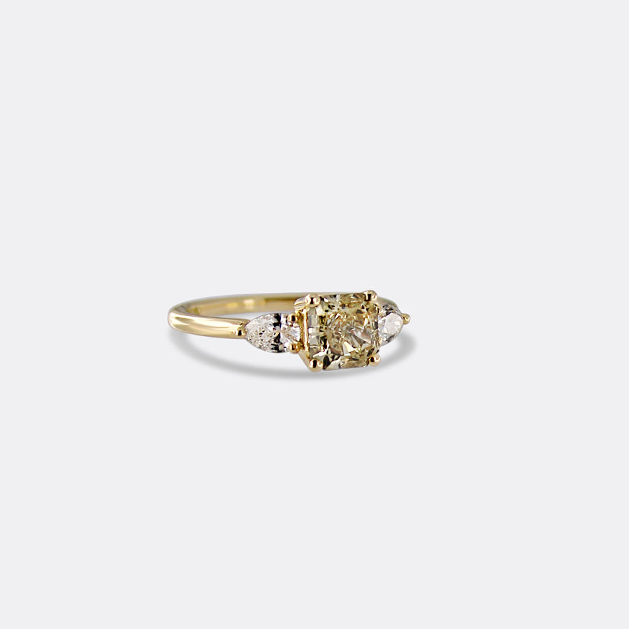 CLEO ring