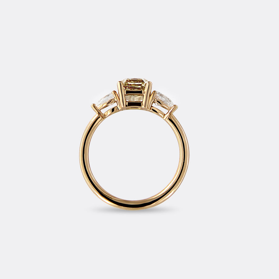 CLEO ring