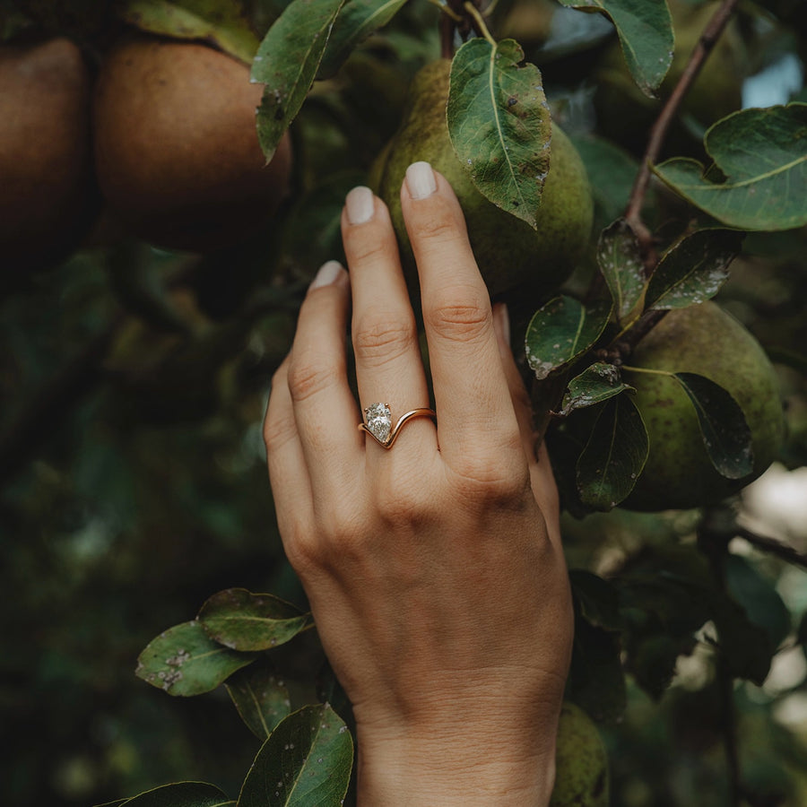 AP PEAR Ring